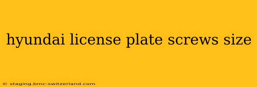 hyundai license plate screws size