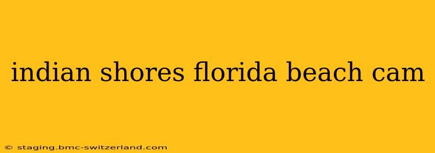 indian shores florida beach cam