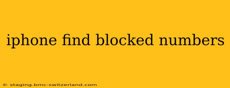 iphone find blocked numbers
