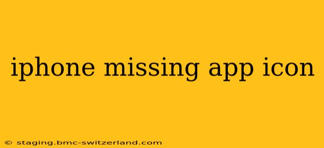 iphone missing app icon