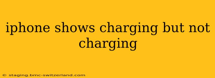iphone shows charging but not charging