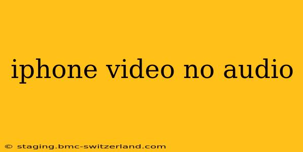iphone video no audio