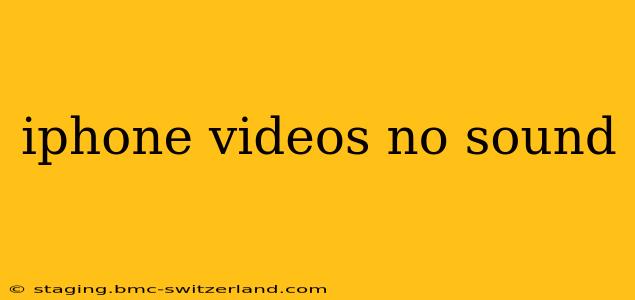 iphone videos no sound