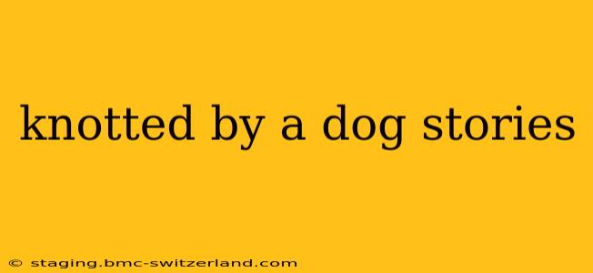 knotted by a dog stories