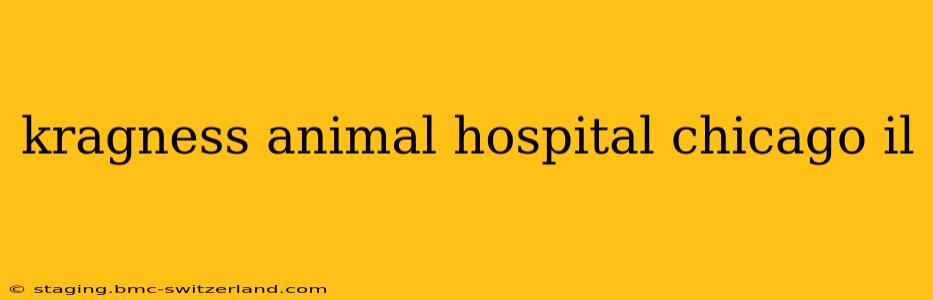 kragness animal hospital chicago il