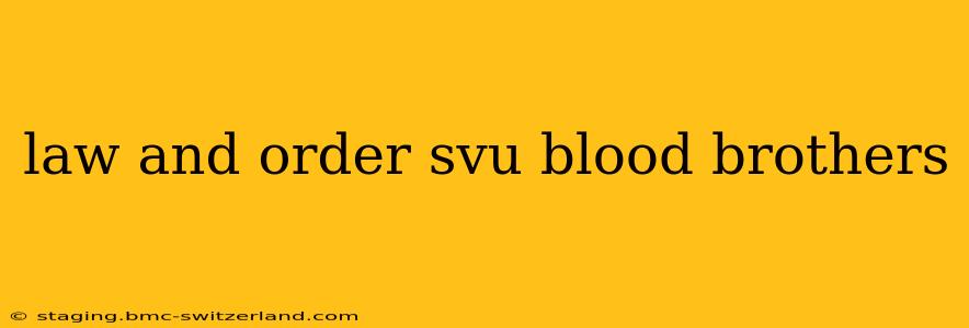 law and order svu blood brothers