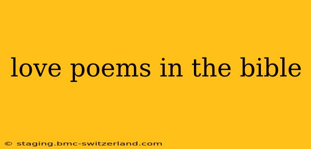 love poems in the bible