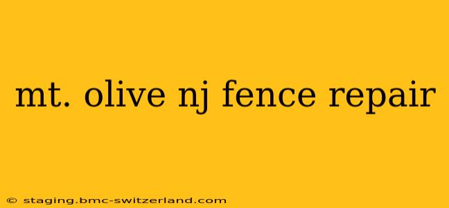 mt. olive nj fence repair