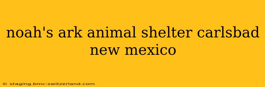 noah's ark animal shelter carlsbad new mexico