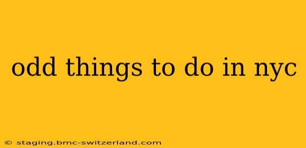 odd things to do in nyc