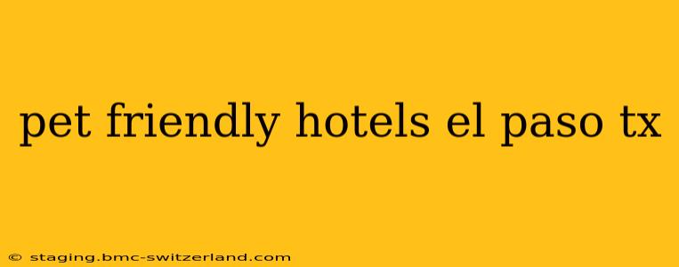 pet friendly hotels el paso tx