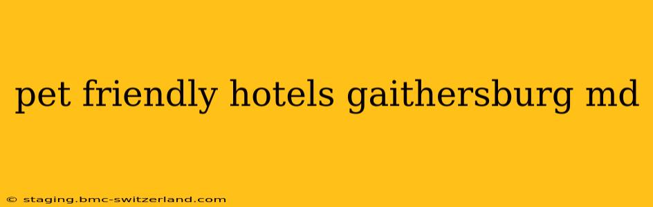 pet friendly hotels gaithersburg md