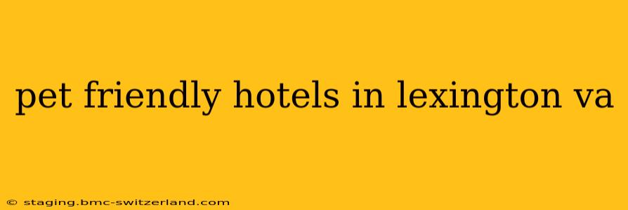pet friendly hotels in lexington va