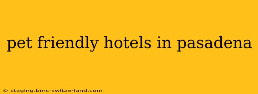 pet friendly hotels in pasadena