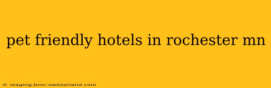 pet friendly hotels in rochester mn