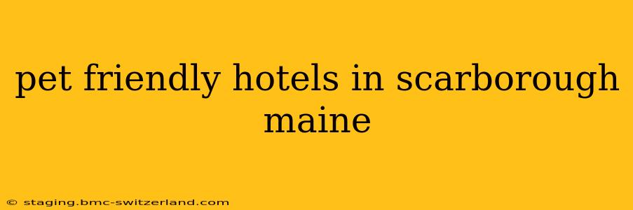 pet friendly hotels in scarborough maine