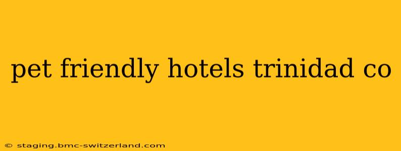pet friendly hotels trinidad co