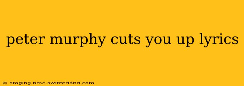 peter murphy cuts you up lyrics