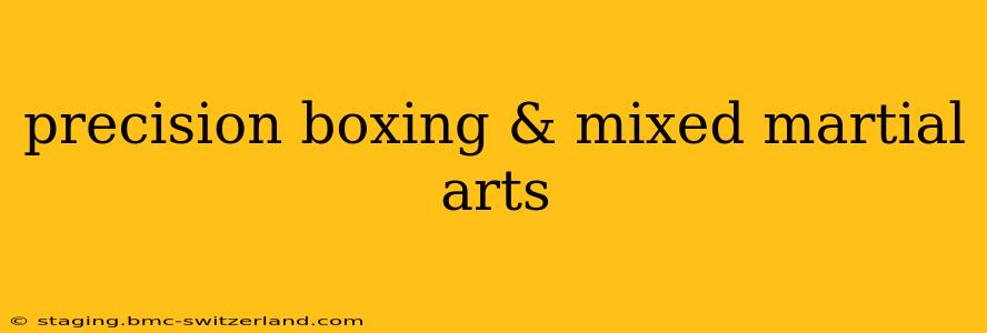 precision boxing & mixed martial arts