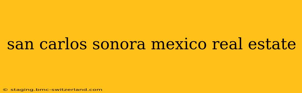 san carlos sonora mexico real estate