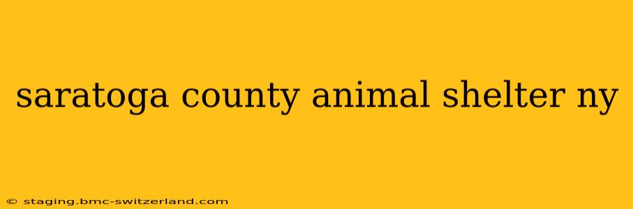 saratoga county animal shelter ny