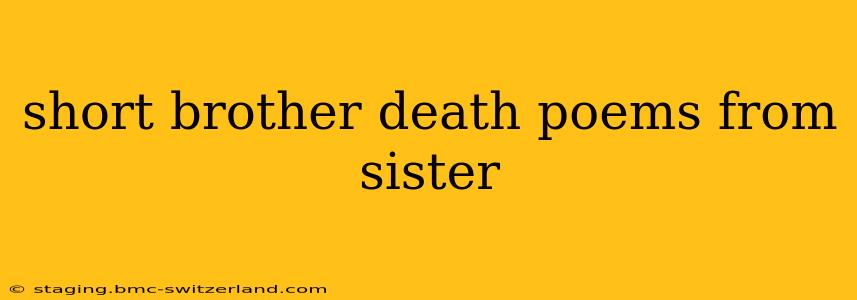 short brother death poems from sister