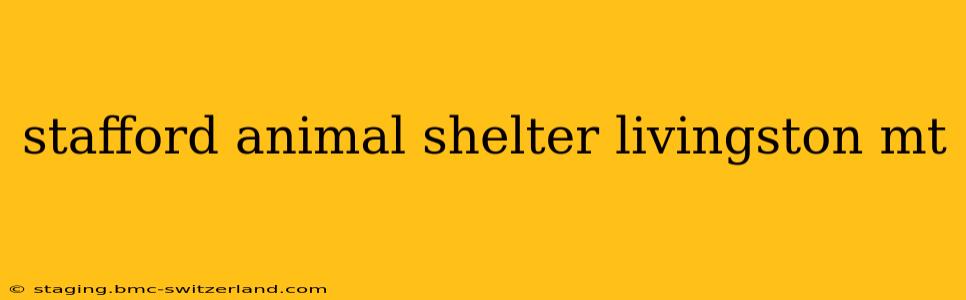 stafford animal shelter livingston mt