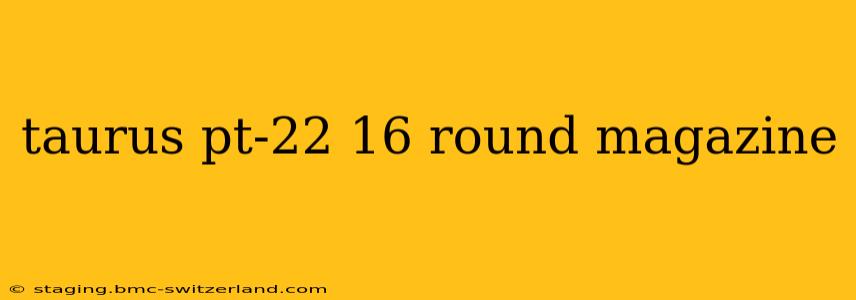 taurus pt-22 16 round magazine