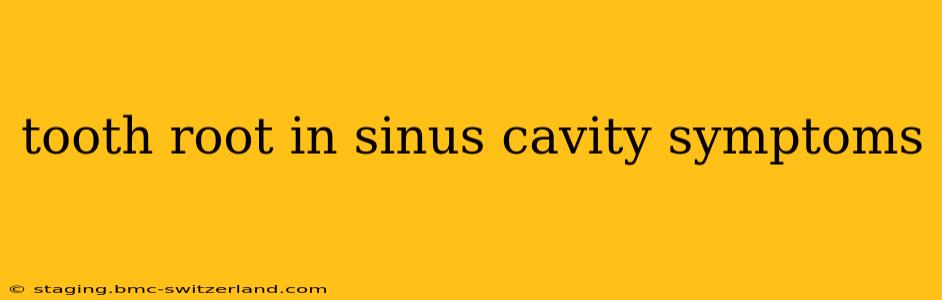 tooth root in sinus cavity symptoms