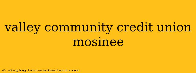 valley community credit union mosinee