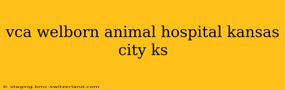 vca welborn animal hospital kansas city ks