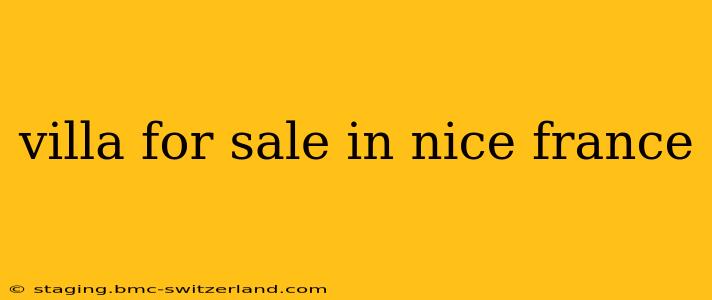 villa for sale in nice france