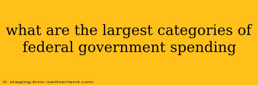 what are the largest categories of federal government spending