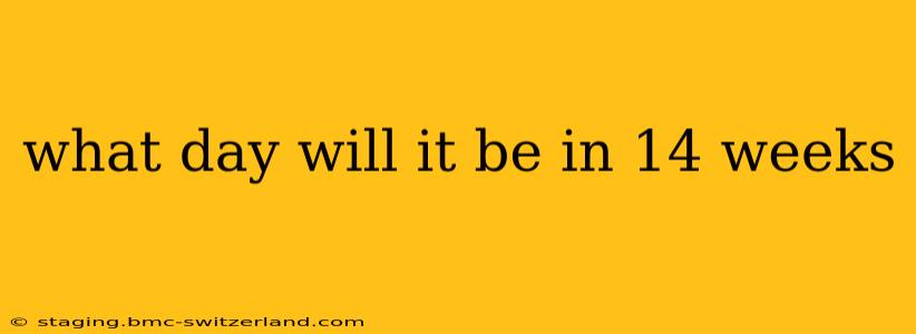 what day will it be in 14 weeks