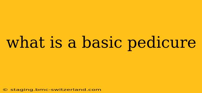 what is a basic pedicure