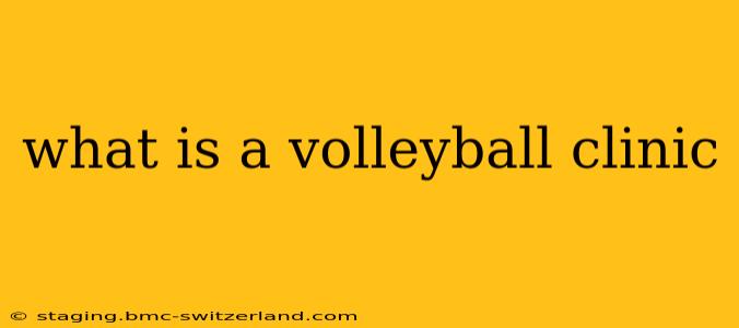 what is a volleyball clinic