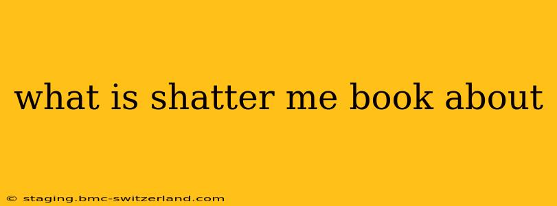 what is shatter me book about