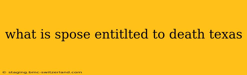 what is spose entitlted to death texas