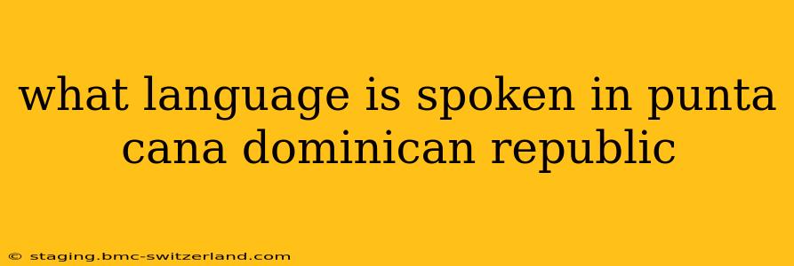 what language is spoken in punta cana dominican republic