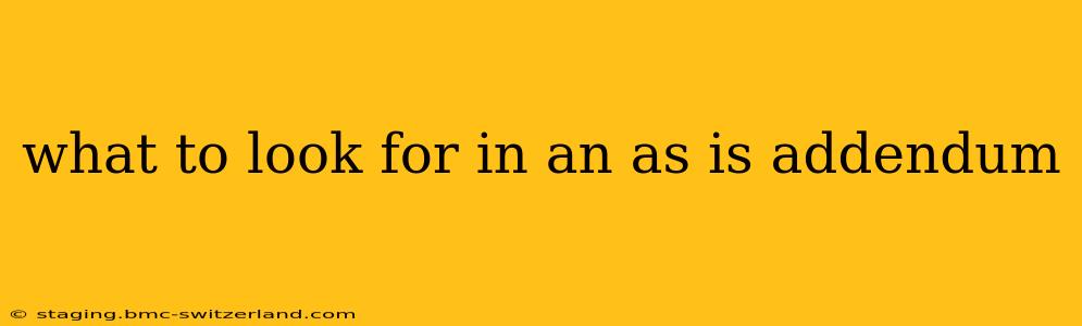 what to look for in an as is addendum