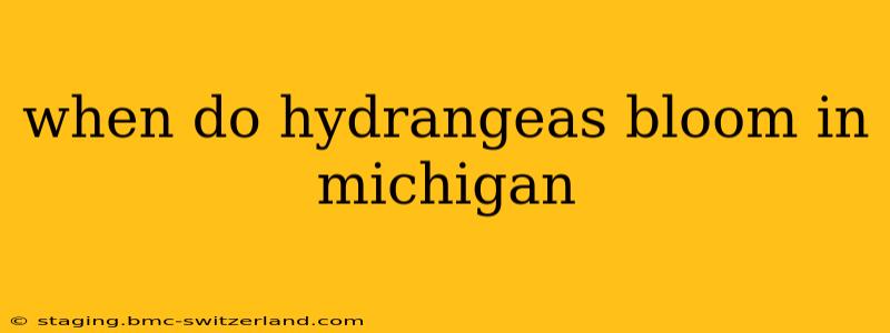 when do hydrangeas bloom in michigan