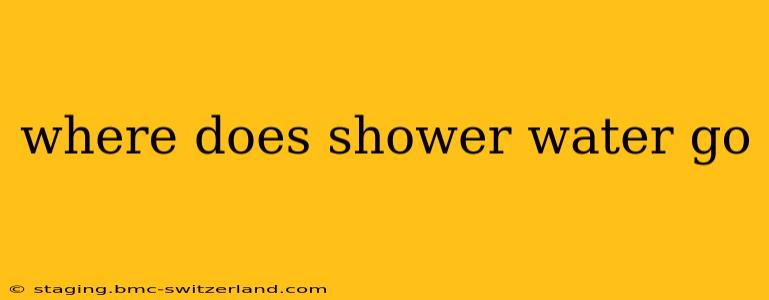 where does shower water go