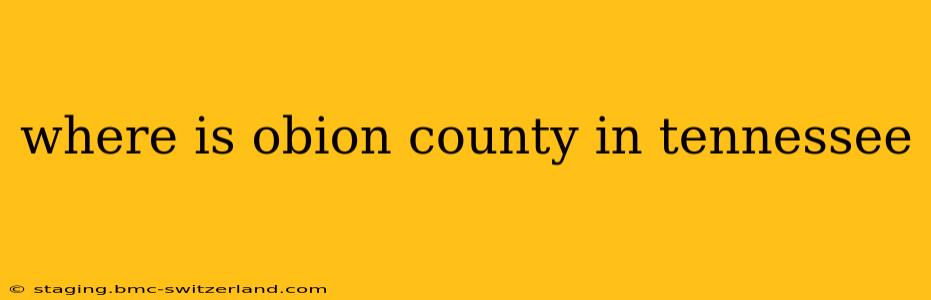 where is obion county in tennessee