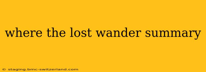 where the lost wander summary
