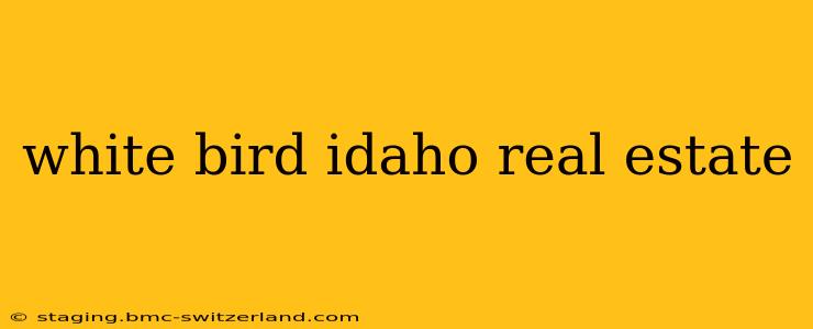 white bird idaho real estate