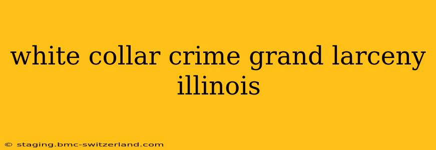 white collar crime grand larceny illinois
