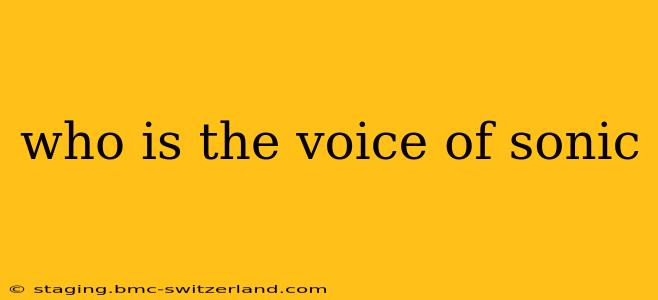 who is the voice of sonic