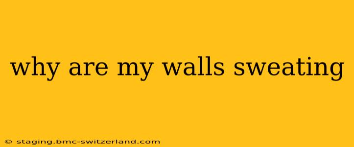 why are my walls sweating