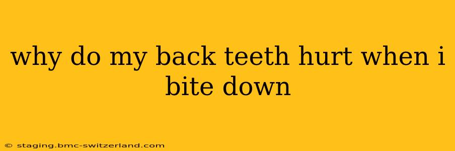 why do my back teeth hurt when i bite down
