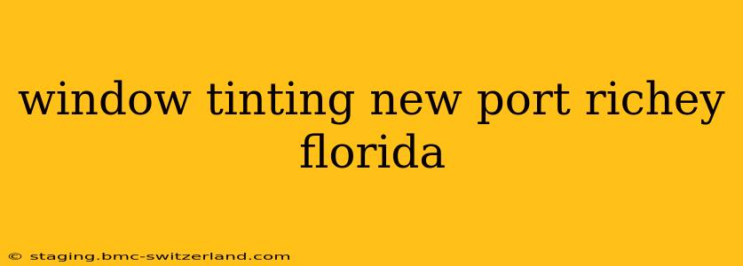 window tinting new port richey florida